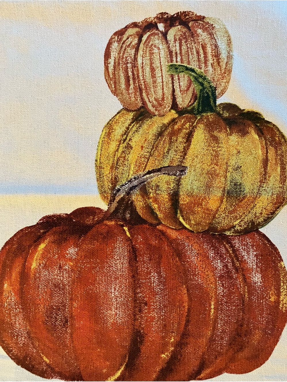 Pottery Barn Painted Pumpkin Stack Pillow Cover